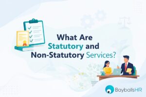 What are Statutory and Non Statutory Services